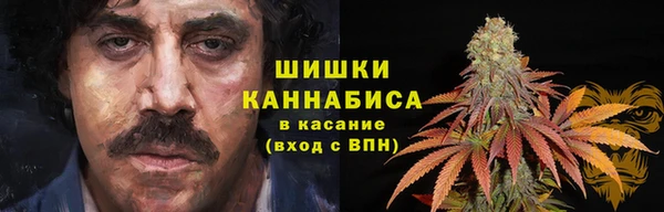 соль ск Пересвет
