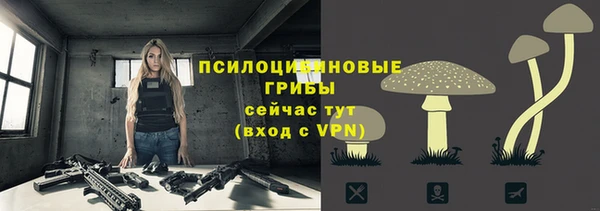 тгк Переславль-Залесский