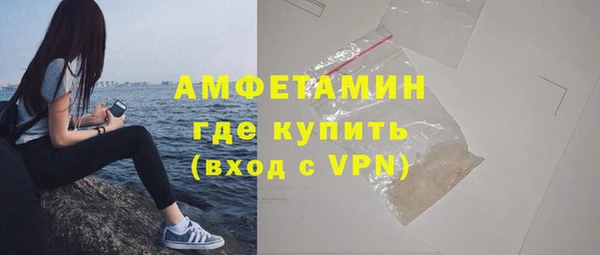 соль ск Пересвет