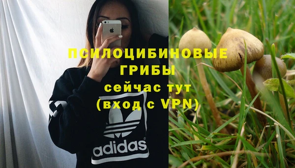 тгк Переславль-Залесский