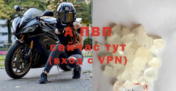 соль ск Пересвет