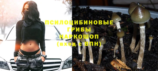 тгк Переславль-Залесский