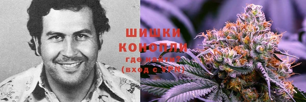 соль ск Пересвет