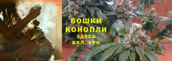 тгк Переславль-Залесский