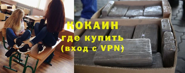 соль ск Пересвет